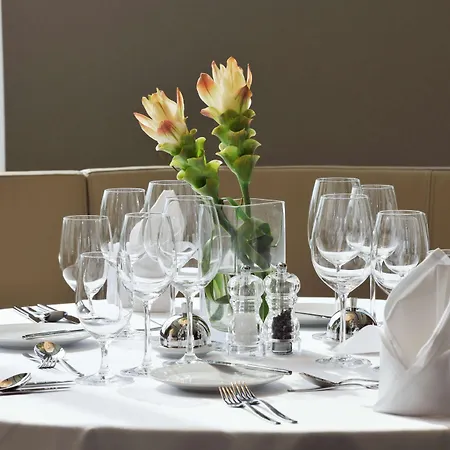 Hotel Radisson Blu Plaza Laibach