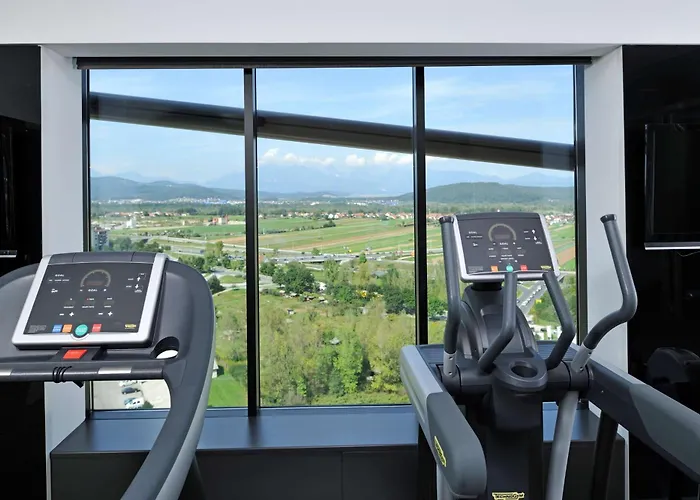 酒店 卢布尔雅那丽笙皇宫酒店 卢布尔雅那