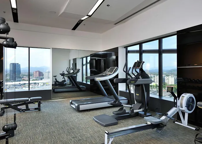 卢布尔雅那丽笙皇宫酒店 4*