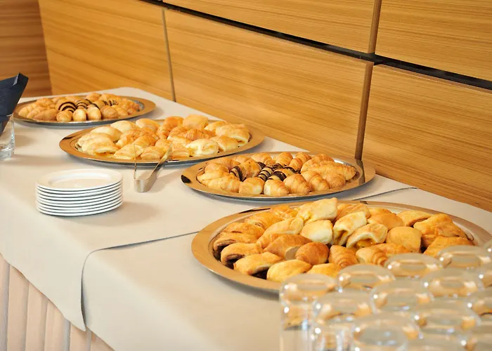 راديسون بلو بلازا فندق