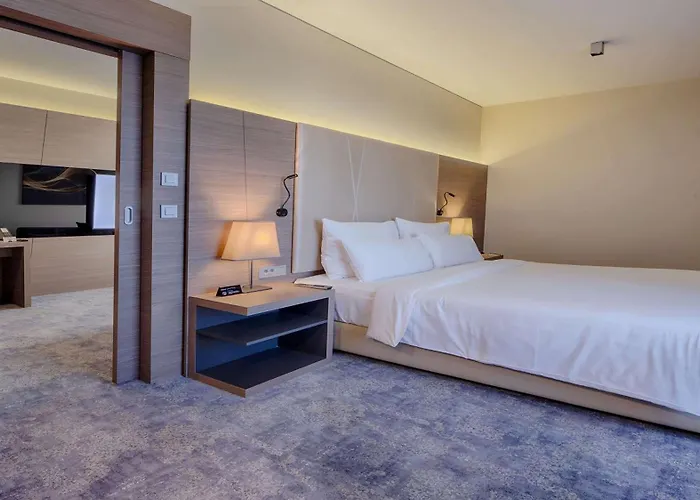 راديسون بلو بلازا