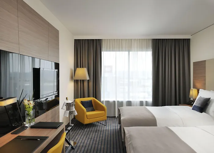 راديسون بلو بلازا 4*