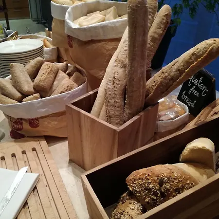 راديسون بلو بلازا 4*