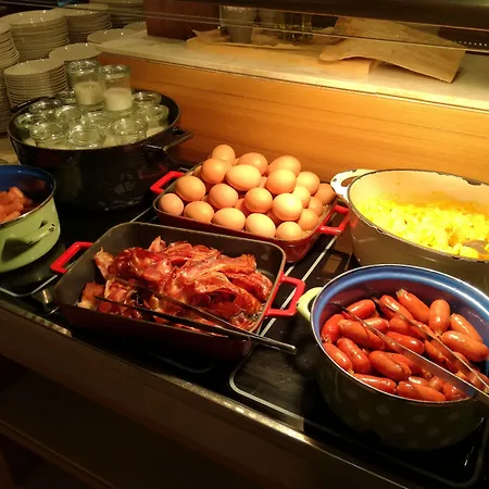 راديسون بلو بلازا فندق 4*